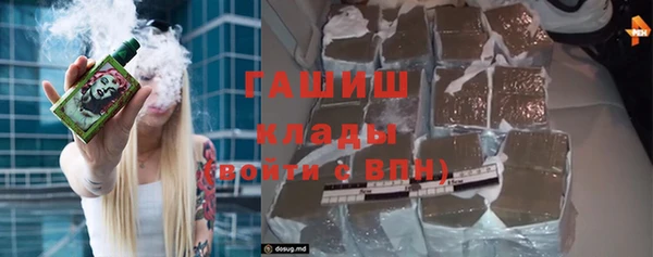 гидра Бердск
