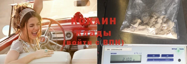 эйфоретик Надым