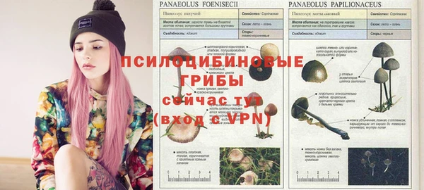 мдпв Наволоки