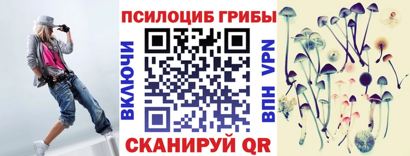 Галлюциногенные грибы Psilocybine cubensis  Болхов 